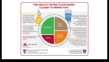 الصحة على طبقك: دليل الطهي للعافية