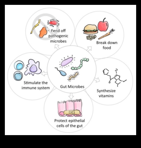 ميكروبيوم الأمعاء: لاعب رئيسي في الجهاز الهضمي المتوازن