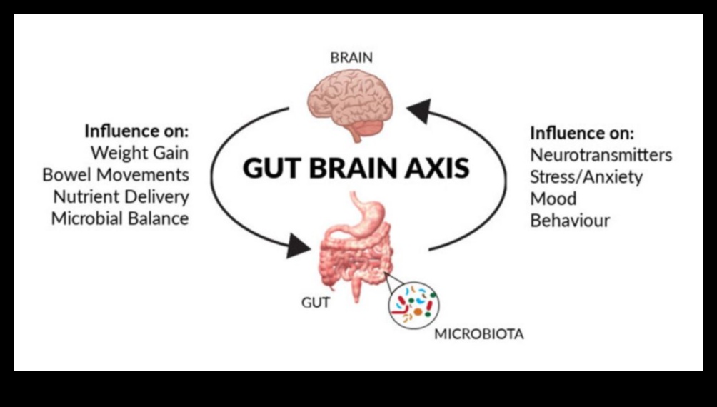 ميكروبيوم الأمعاء: لاعب رئيسي في الجهاز الهضمي المتوازن