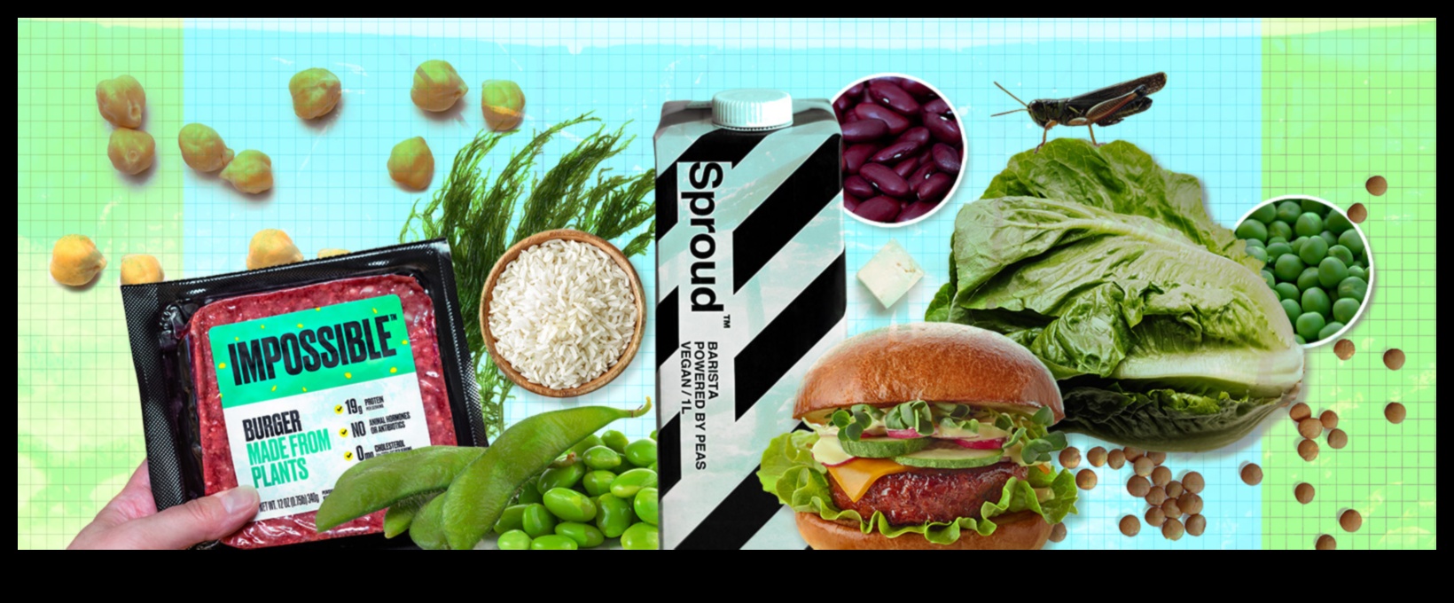 الأنظمة الغذائية الغنية بالبروتين والزراعة المستدامة: نهج أخضر