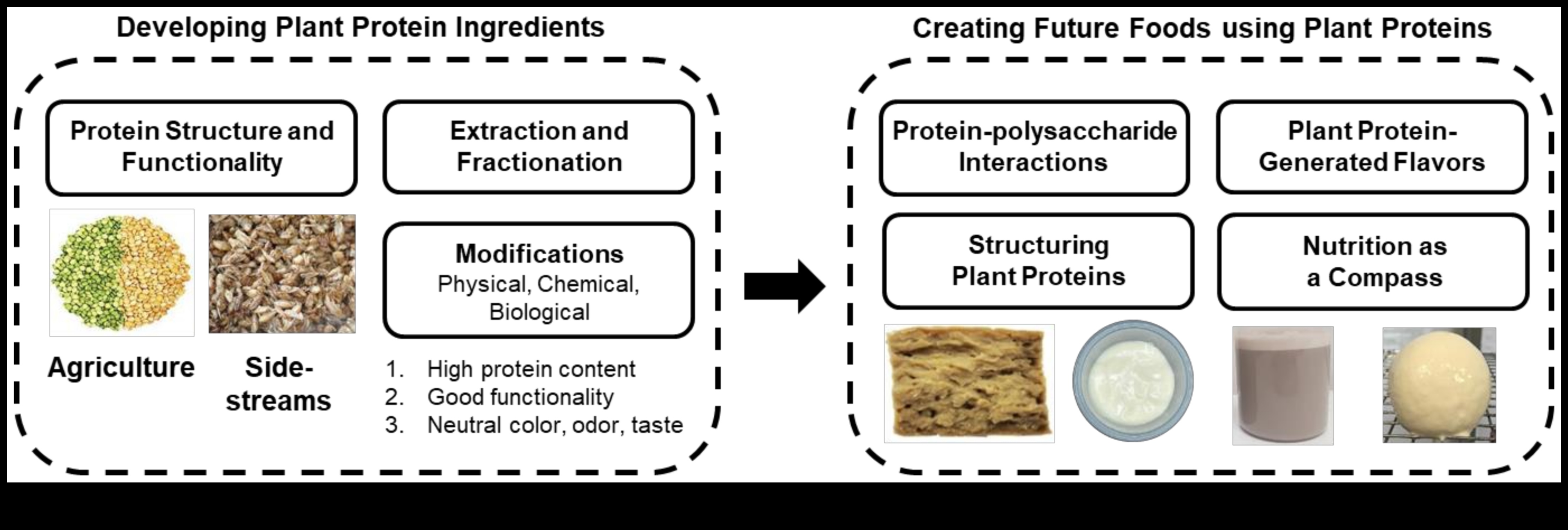 الأنظمة الغذائية الغنية بالبروتين والزراعة المستدامة: نهج أخضر