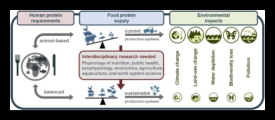 الأنظمة الغذائية الغنية بالبروتين والزراعة المستدامة: نهج أخضر