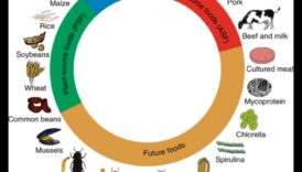 الأنظمة الغذائية الغنية بالبروتين والزراعة المستدامة: نهج أخضر