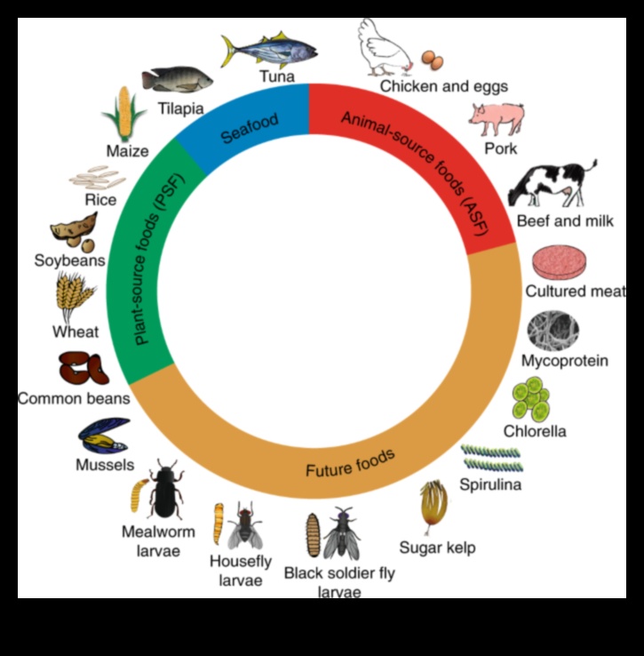 الأنظمة الغذائية الغنية بالبروتين والزراعة المستدامة: نهج أخضر
