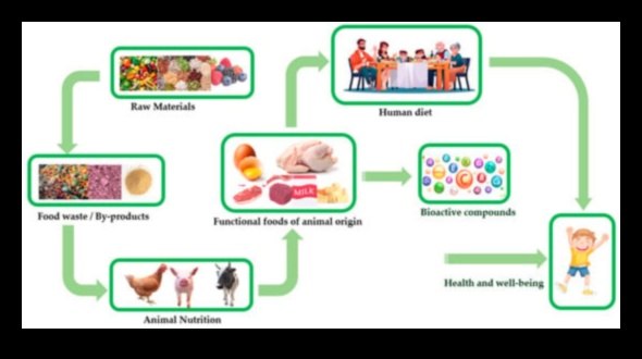 الوئام الخلوي: تكافل الكيمياء الحيوية الغذائية والصحة