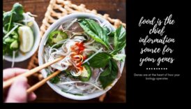 من الجينات إلى الذواقة: علم المورثات الغذائية في التميز في الطهي