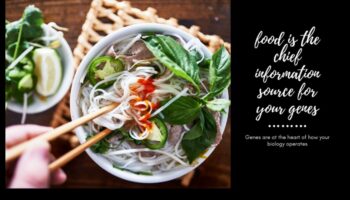 من الجينات إلى الذواقة: علم المورثات الغذائية في التميز في الطهي