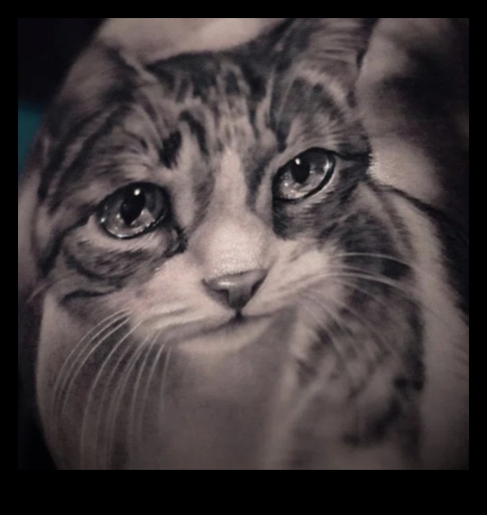 أسياد الواقعية: ارفع أسلوبك باستخدام الحبر البارع الذي يتحدث عن مجلدات