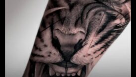 أسياد الواقعية: ارفع أسلوبك باستخدام الحبر البارع الذي يتحدث عن مجلدات