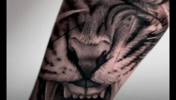 أسياد الواقعية: ارفع أسلوبك باستخدام الحبر البارع الذي يتحدث عن مجلدات