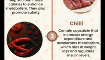 حمية فقدان الوزن والتمثيل الغذائي: فهم الارتباط