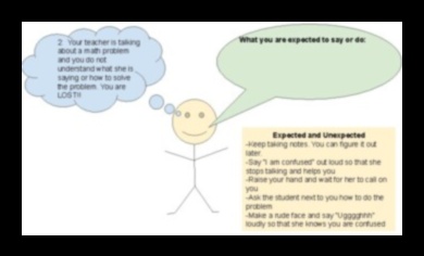 البروتين والوظيفة المعرفية: تغذية صحة الدماغ