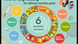 العناصر الغذائية الأساسية: دليل شامل للصحة