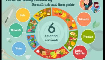 العناصر الغذائية الأساسية: دليل شامل للصحة