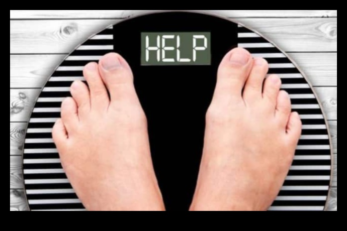 حمية زيادة الوزن للبوم الليلي: استراتيجيات النجاح