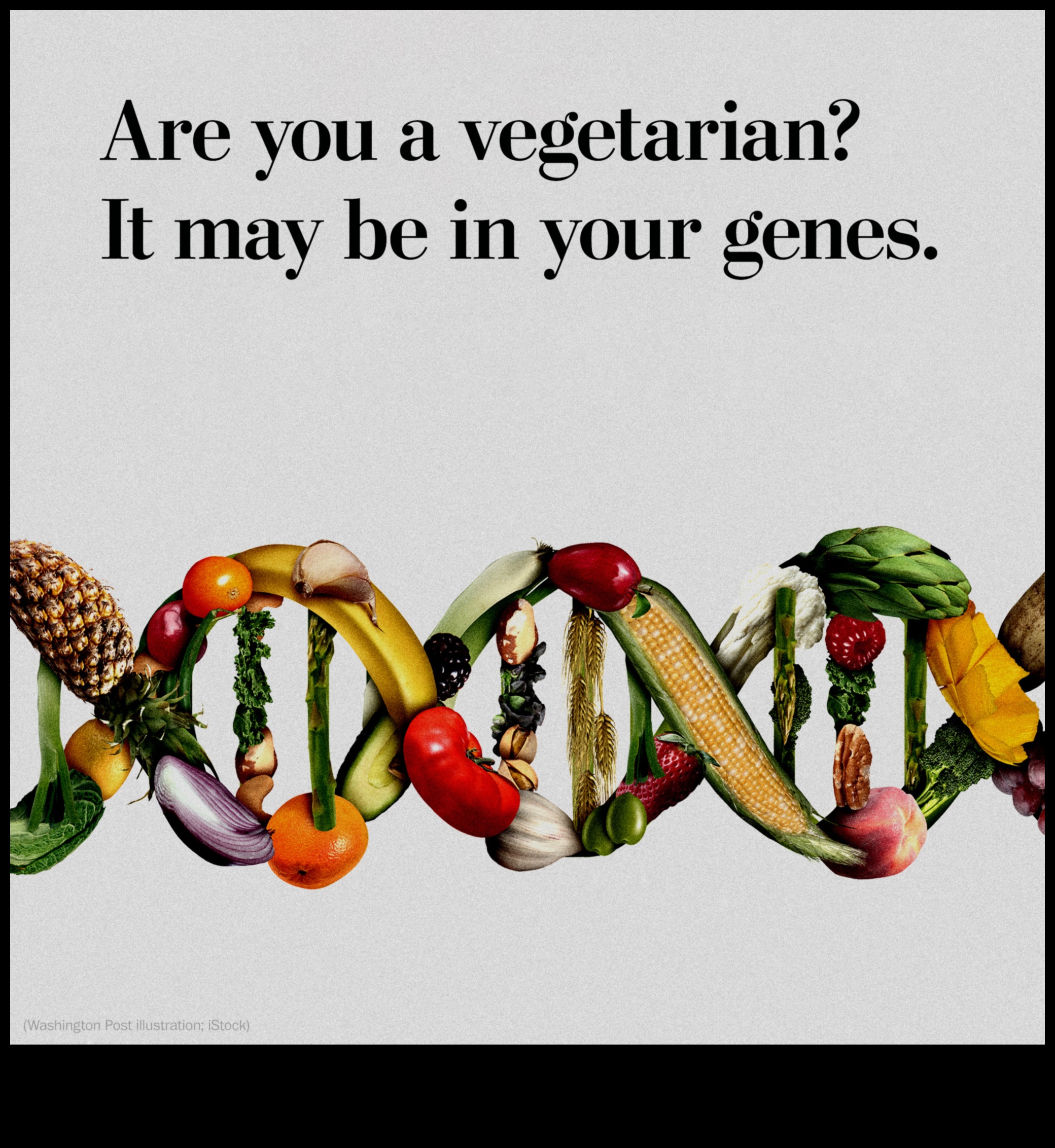 النباتية والمنظورات الثقافية: وجهة نظر عالمية