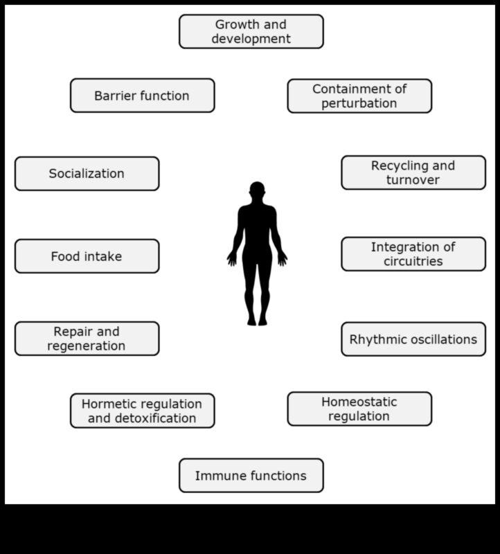 التوازن الكيميائي الحيوي: مفتاح الصحة الغذائية المثلى