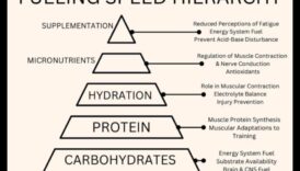 Sprint Smart: نصائح سريعة للتغذية الرياضية عالية السرعة