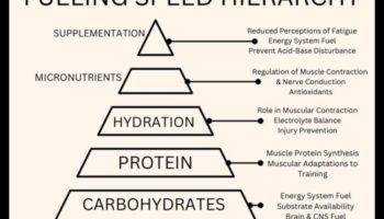 Sprint Smart: نصائح سريعة للتغذية الرياضية عالية السرعة