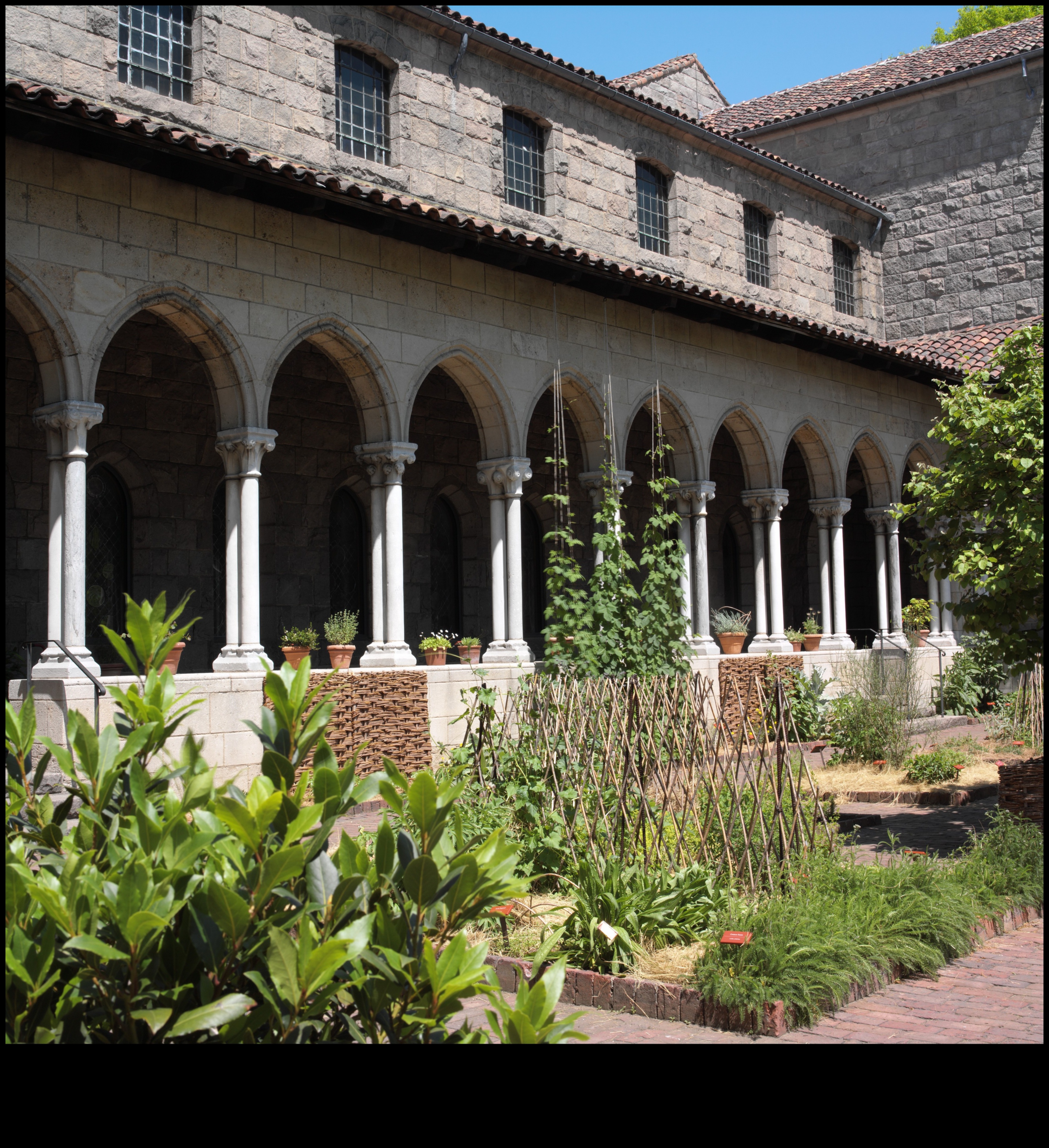 الممرات الفنية: استكشاف الجمال المعماري لأديرة العصور الوسطى